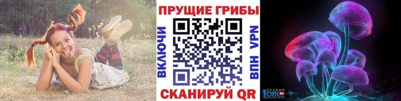 Псилоцибиновые грибы мухоморы  что такое   Балашов 